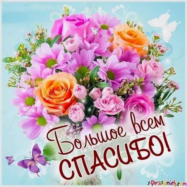 с днем спасибо