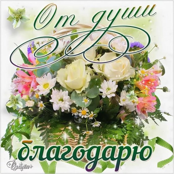 благодарим от всей души