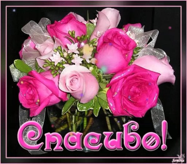 благодарю цветы