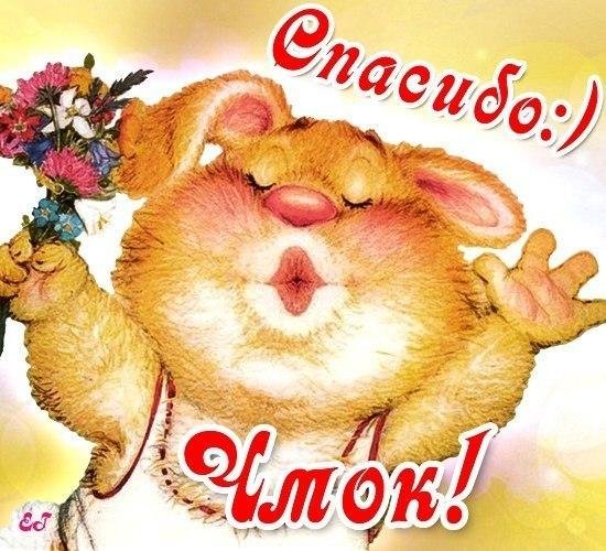спасибочки открытка