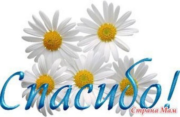 экстракт цветков ромашки