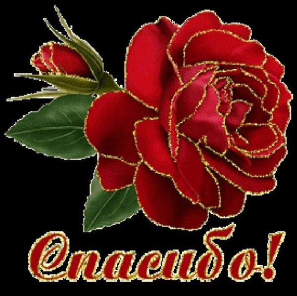 благодарственная открытка