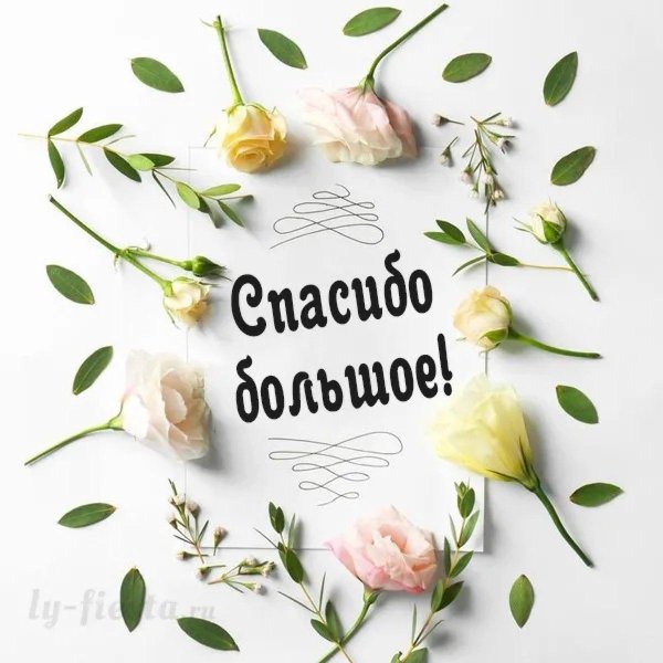 большая благодарность