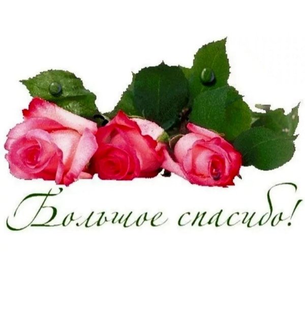 открытки с благодарностью