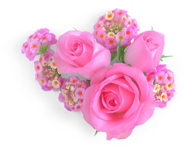 розовые букеты