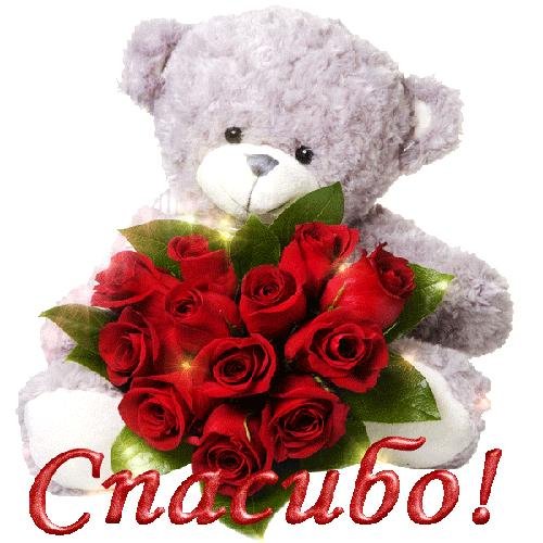 медвежонок с цветами