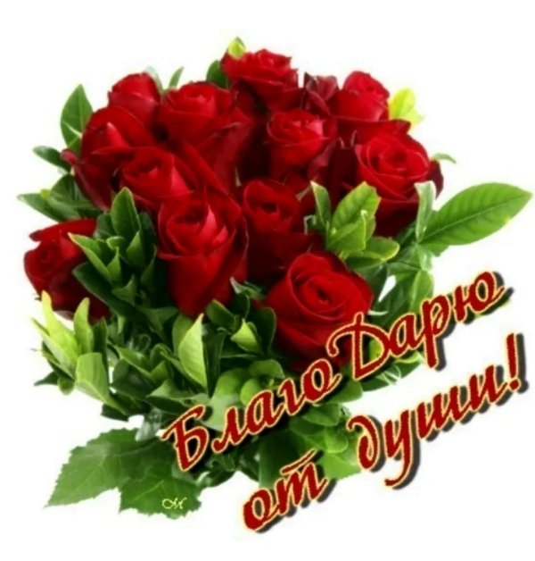 благодарим от всей души