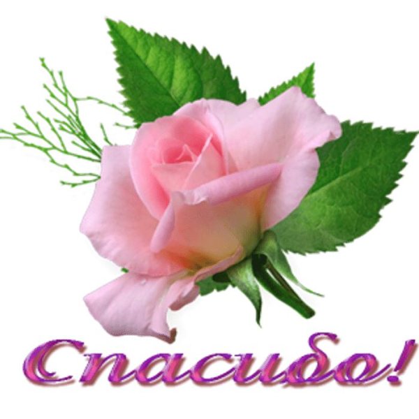 красивые открытки с благодарностью