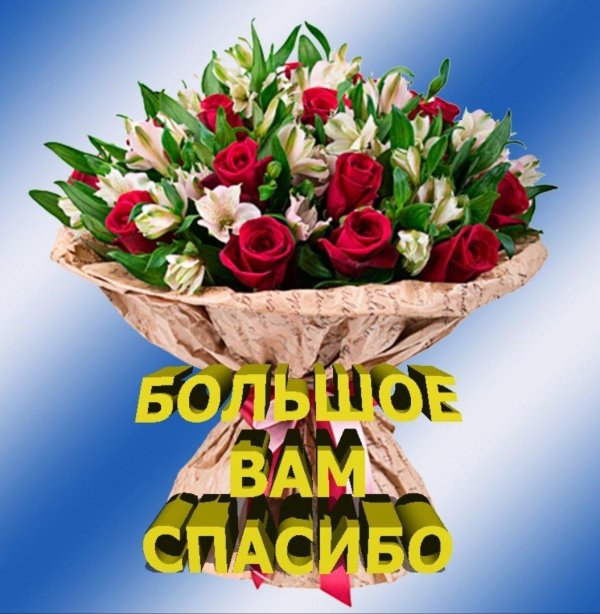 спасибо большое открытки красивые