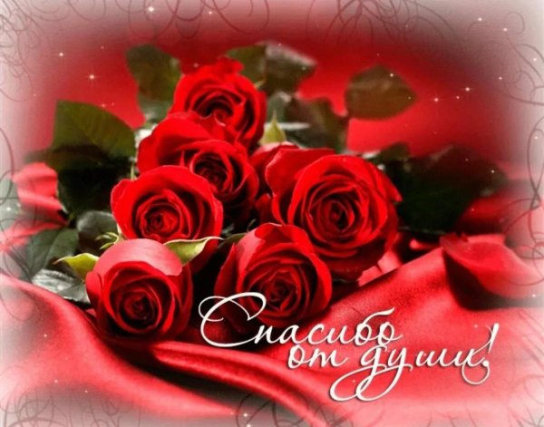 с благодарностью открытки