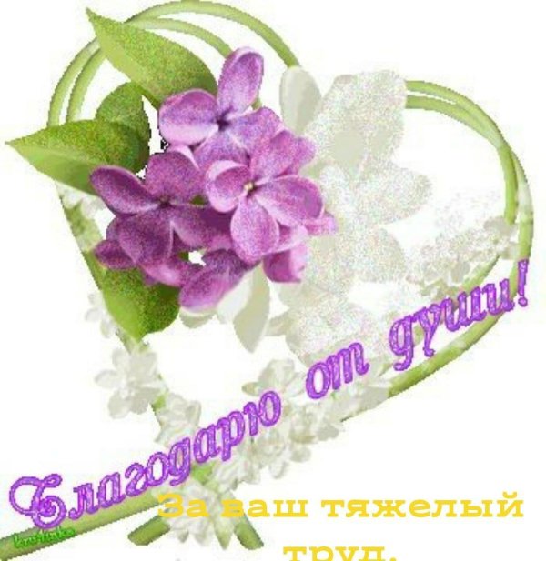 сирень сирень