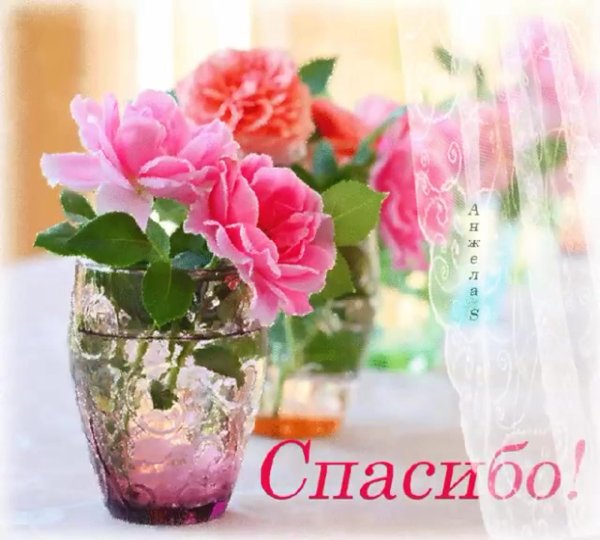 благодарю цветы