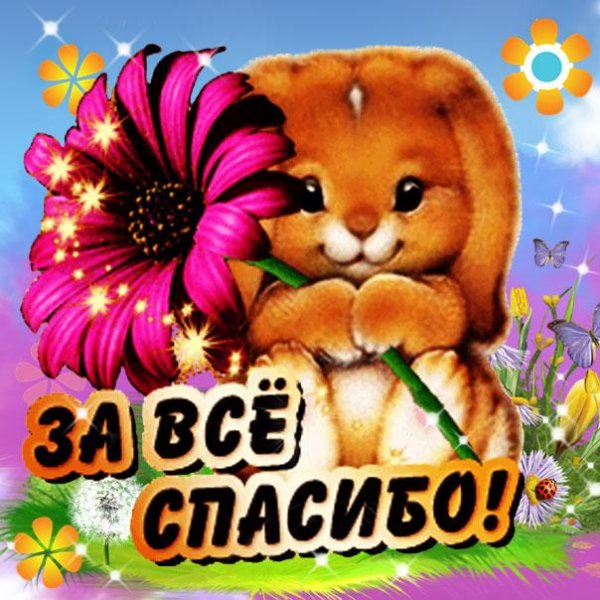 поздравляю с