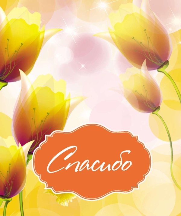 жëлтые тюльпаны