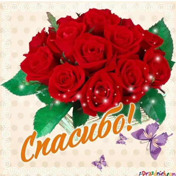 открытки красивые спасибо