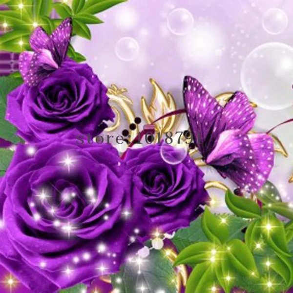 фиолетовые цветки