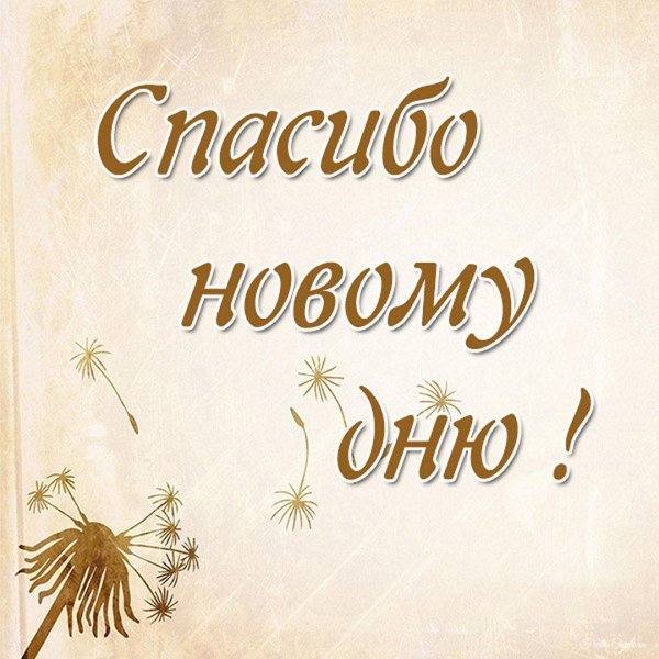 благодарю за новый день