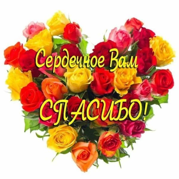 благодарю от всего сердца