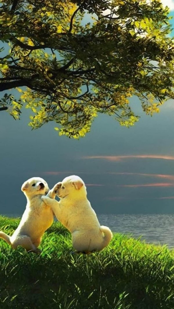 живая природа