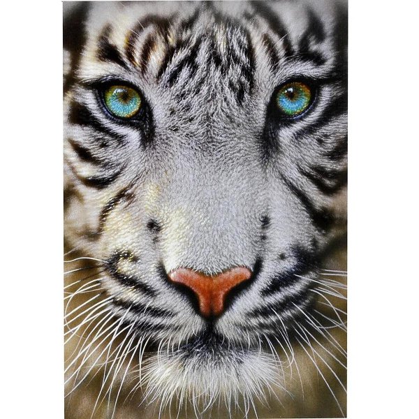 white tiger