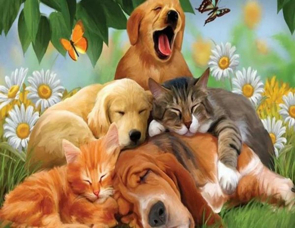 картины про животных