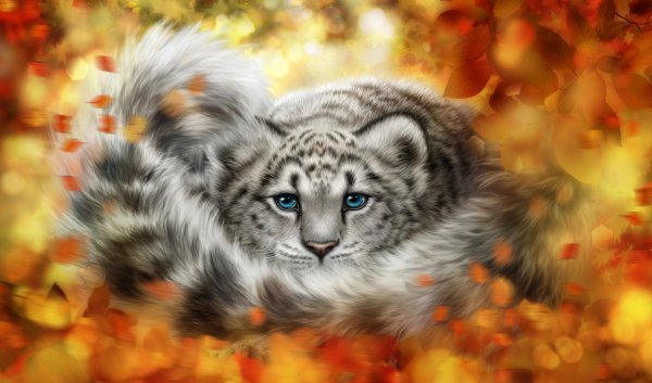 снежная барс