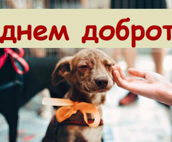 день доброты