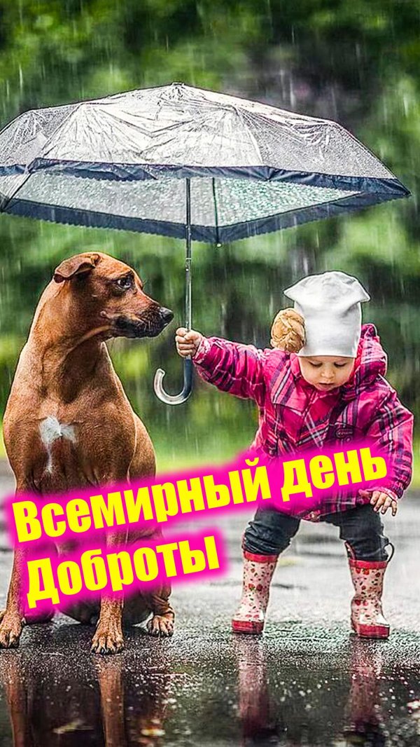 с днем добра