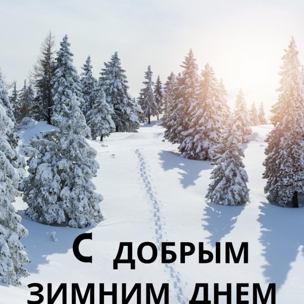доброго зимового дня