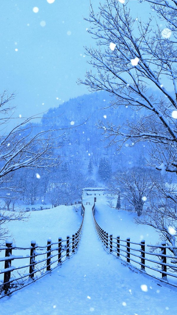 зимняя зима