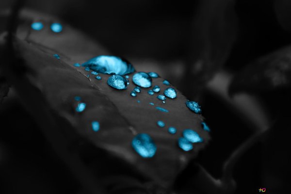 голубые капли