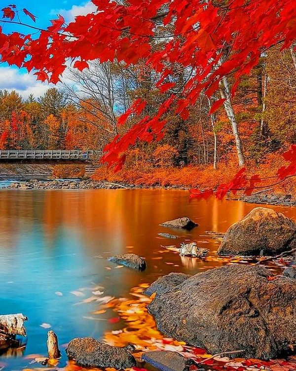 осенние пейзажи