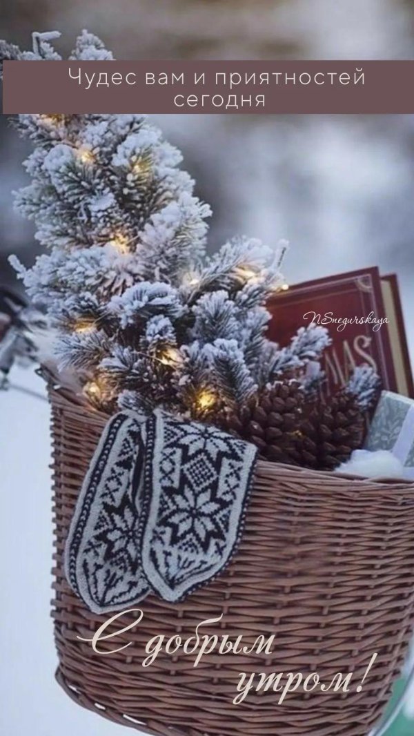 доброе зимнее утречко