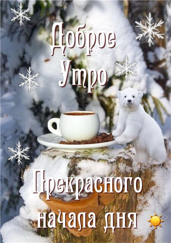 зимнего утра