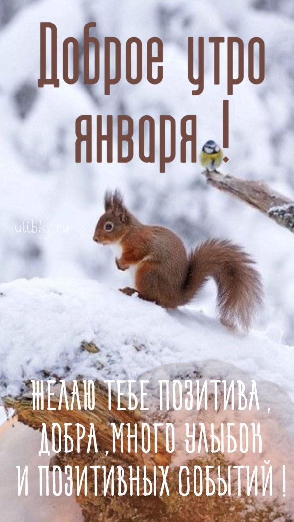 доборого зимненего утро