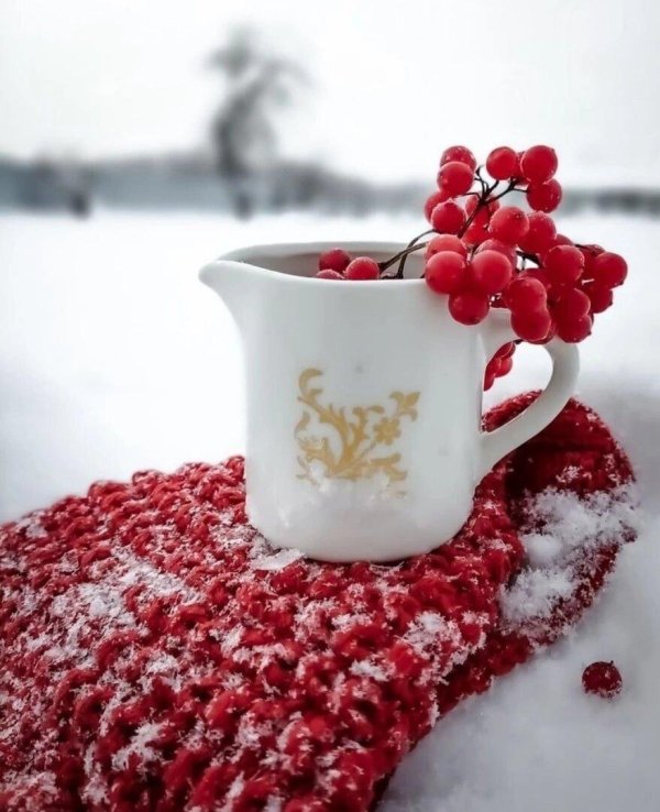 снежного утра