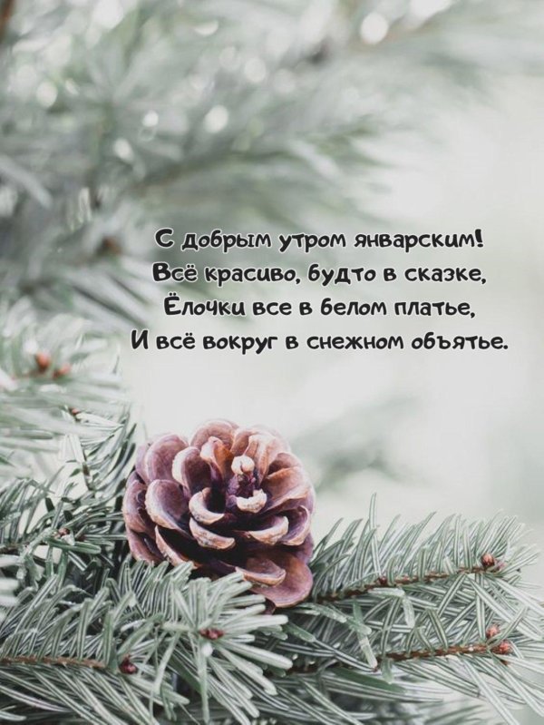 утро доброе снежное