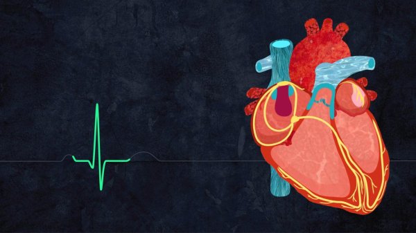 фон для презентации кардиология