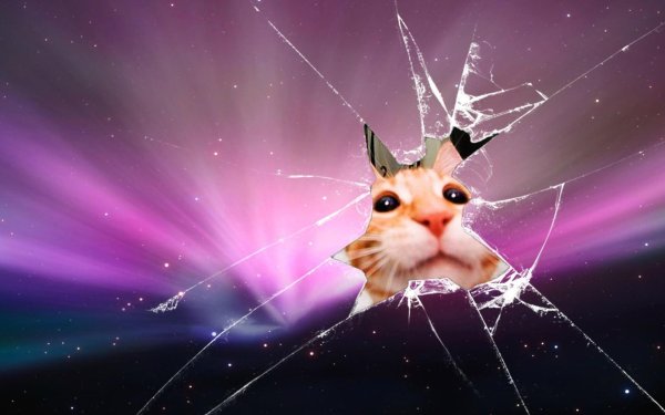 на главный экран