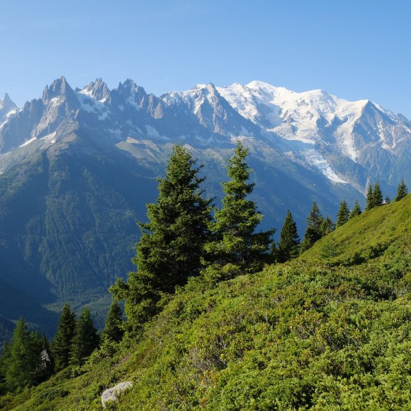 рельеф италии гора монблан