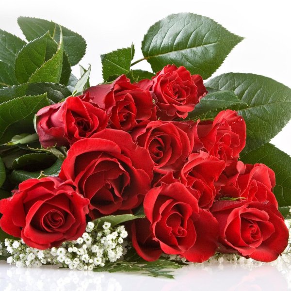 открытки и поздравления