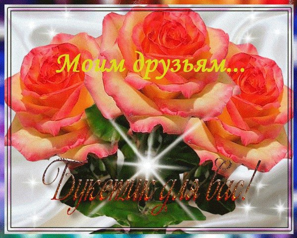 цветы друзьям