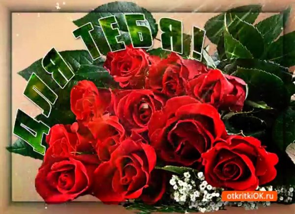 цветы для алены