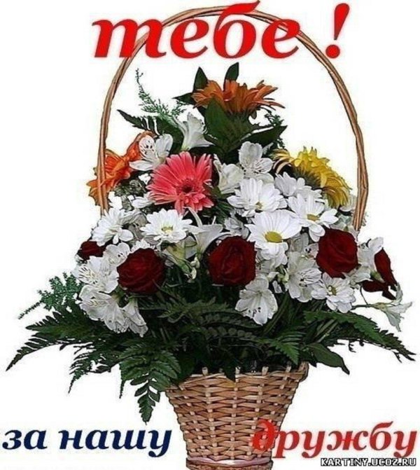 корзина цветов