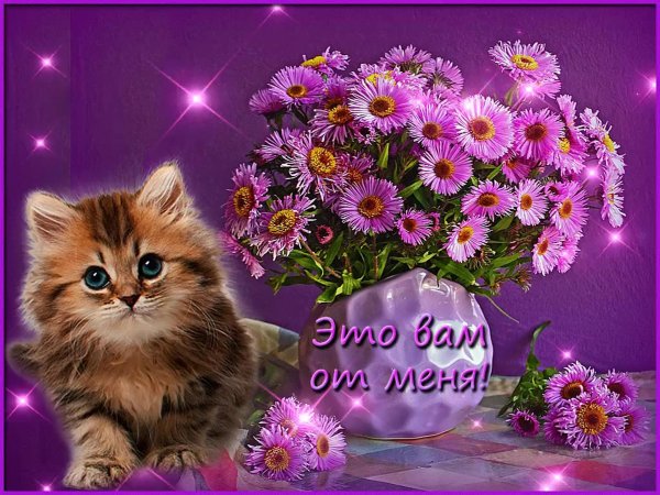 открытка красивая