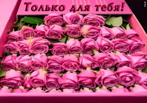 красивое поздравление с днем рождения