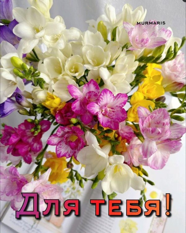 фрезия цветок