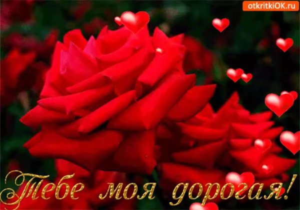 цветок для любимой