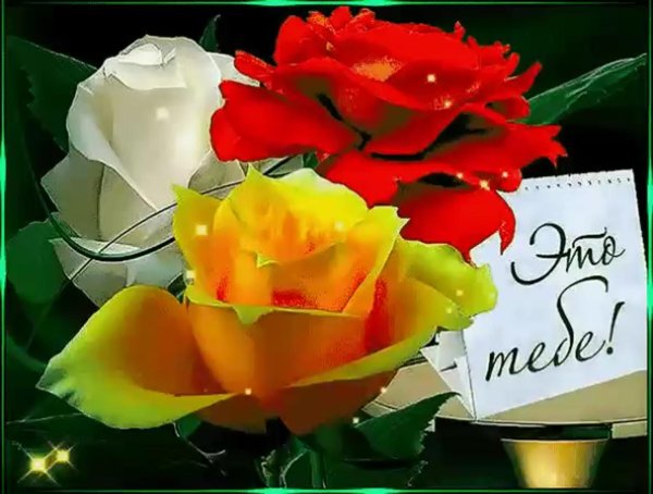 цветок открытка