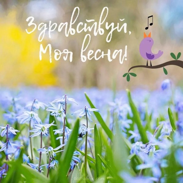 красивая весенняя открытка